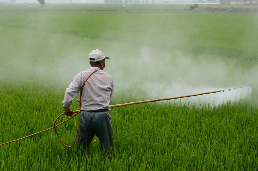 Comerțul cu pesticide ilegale, una dintre cele mai mari activități de crimă organizată la nivel mondial