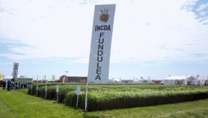 INCDA Fundulea, în eșalonul fruntaș al geneticii în domeniul cerealelor și plantelor tehnice