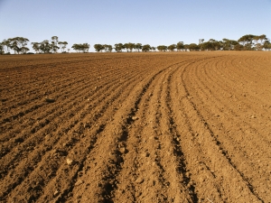 Nivelarea, un pericol major care duce la degradarea solului