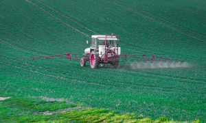 Pesticidele - sănătatea omului și a mediului