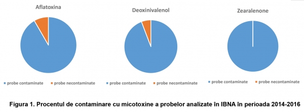 Contaminarea cu micotoxine, o problemă mereu în actualitate