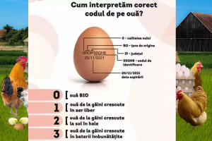 Semnificația „codului“ de pe ouă