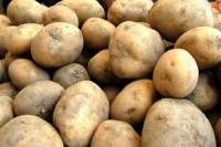Cartofii s-au ieftinit în iulie cu 8,11%, iar fructele prospete cu 12,35%