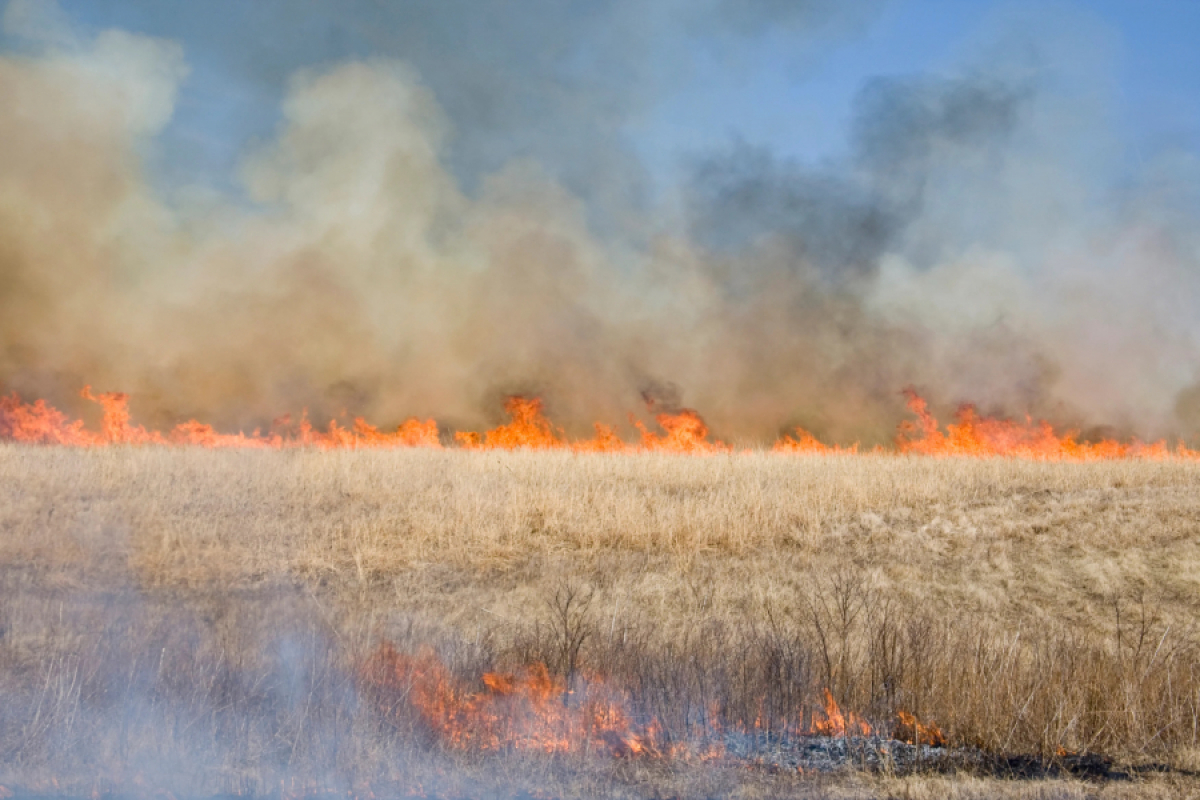 APIA informează fermierii că au interdicția de a incendia miriștile, vegetația uscată și resturile vegetale pe terenurile arabile