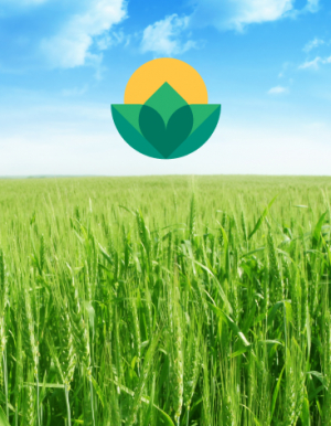 Clubul Fermierilor Români propune includerea în PNS, în eco-scheme, a unei subdiviziuni aplicabile pentru zonele afectate de secetă și arșiță