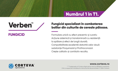 Avantajele fungicidului Verben™ - Un produs unic pe piața din România!