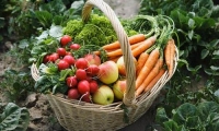 Legumicultorii şi reprezentanţii MADR vor definitiva în perioada următoare o strategie pe termen lung pentru sectorul legume-fructe